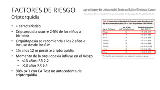 • + característico
• Criptorquidia ocurre 2-5% de los niños a
término
• Orquidopexia se recomienda a los 2 años e
incluso desde los 6 m
• 1% a los 12 m persiste criptorquidia
• Momento de la orquiopexia influye en el riesgo
• <13 años: RR 2,2
• >13 años RR 5,4
• 90% px´s con CA Test no antecedente de
criptorquidia
FACTORES DE RIESGO
Criptorquidia
 