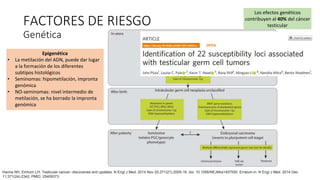 Los efectos genéticos
contribuyen al 40% del cáncer
testicular
FACTORES DE RIESGO
Genética
Hanna NH, Einhorn LH. Testicular cancer--discoveries and updates. N Engl J Med. 2014 Nov 20;371(21):2005-16. doi: 10.1056/NEJMra1407550. Erratum in: N Engl J Med. 2014 Dec
11;371(24):2342. PMID: 25409373.
Epigenética
• La metilación del ADN, puede dar lugar
a la formación de los diferentes
subtipos histológicos
• Seminomas: hipometilación, impronta
genómica
• NO-seminomas: nivel intermedio de
metilación, se ha borrado la impronta
genómica
 