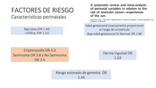 Bajo peso (OR 1.34)
<2500 g (OR 1.22)
Edad gestacional inversamente proporcional
al riesgo de ca testículo
Baja edad gestacional Vs Normal: OR 1.08
Criptorquidia OR 4.3
Seminoma OR 3.8 y No Seminoma
OR 3.4
Hernia inguinal OR
1.63
FACTORES DE RIESGO
Características perinatales
Riesgo estimado de gemelos: OR
1.44
 