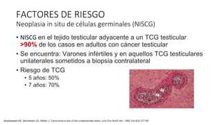 • NISCG en el tejido testicular adyacente a un TCG testicular
>90% de los casos en adultos con cáncer testicular
• Se encuentra: Varones infértiles y en aquellos TCG testiculares
unilaterales sometidos a biopsia contralateral
• Riesgo de TCG
• 5 años: 50%
• 7 años: 70%
FACTORES DE RIESGO
Neoplasia in situ de células germinales (NISCG)
Skakkebaek NE, Berthelsen JG, Müller J. Carcinoma-in-situ of the undescended testis. Urol Clin North Am. 1982 Oct;9(3):377-85.
 