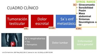 CUADRO CLÍNICO
Tumoración
testicular
Dolor
escrotal
Sx´s enf
metastásica
Sx´s respiratorios
• Tos
• Hemoptisis
Dolor lumbar
Enfermedad
extra gonadal
OTROS: RAROS
• Ginecomastia
• Sensibilidad
Pezón
• Masa
abdominal
• Síntomas
Neurológicos o
GI
Urol Clin North Am. 2007 May;34(2):109-17; abstract vii. doi: 10.1016/j.ucl.2007.02.003.
57% 20-40% 6-19%
5%
 