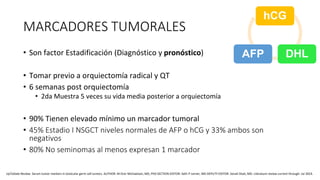 MARCADORES TUMORALES
• Son factor Estadificación (Diagnóstico y pronóstico)
• Tomar previo a orquiectomía radical y QT
• 6 semanas post orquiectomía
• 2da Muestra 5 veces su vida media posterior a orquiectomía
• 90% Tienen elevado mínimo un marcador tumoral
• 45% Estadio I NSGCT niveles normales de AFP o hCG y 33% ambos son
negativos
• 80% No seminomas al menos expresan 1 marcador
hCG
DHL
AFP
UpToDate Review. Serum tumor markers in testicular germ cell tumors. AUTHOR: M Dror Michaelson, MD, PhD SECTION EDITOR: Seth P Lerner, MD DEPUTY EDITOR: Sonali Shah, MD. Literature review current through: Jul 2023.
 