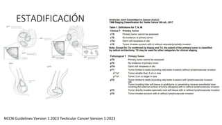 ESTADIFICACIÓN
NCCN Guidelines Version 1.2023 Testicular Cancer Version 1.2023
 