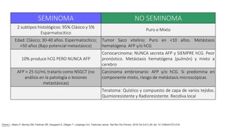 SEMINOMA NO SEMINOMA
2 subtipos histológicos: 95% Clásico y 5%
Esparmatocitico
Puro o Mixto
Edad: Clásico; 30-40 años. Espermatocítico;
>50 años (Bajo potencial metastásico)
Tumor Saco vitelino: Puro en <10 años. Metástasis
hematógena. AFP y/o hCG
10% produce hCG PERO NUNCA AFP
Coriocarcinoma: NUNCA secreta AFP y SIEMPRE hCG. Peor
pronóstico. Metástasis hematógena (pulmón) y mixto a
cerebro
AFP > 25 IU/mL tratarlo como NSGCT (no
análisis en la patología o lesiones
metastásicas)
Carcinoma embrionario: AFP y/o hCG. Si predomina en
componente mixto, riesgo de metástasis microscópicas
Teratoma: Quístico y compuesto de capa de varios tejidos.
Quimioresistente y Radioresistente. Recidiva local
Cheng L, Albers P, Berney DM, Feldman DR, Daugaard G, Gilligan T, Looijenga LHJ. Testicular cancer. Nat Rev Dis Primers. 2018 Oct 5;4(1):29. doi: 10.1038/s41572-018-
 