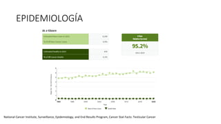 EPIDEMIOLOGÍA
National Cancer Institute, Surveillance, Epidemiology, and End Results Program, Cancer Stat Facts: Testicular Cancer
 