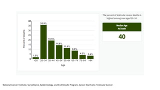 National Cancer Institute, Surveillance, Epidemiology, and End Results Program, Cancer Stat Facts: Testicular Cancer
 