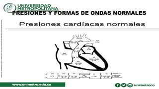 PRESIONES Y FORMAS DE ONDAS NORMALES
 