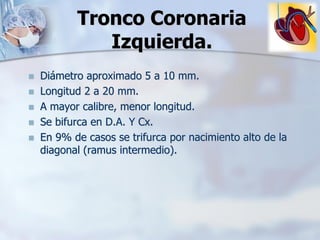 Tronco Coronaria
Izquierda.
◼ Diámetro aproximado 5 a 10 mm.
◼ Longitud 2 a 20 mm.
◼ A mayor calibre, menor longitud.
◼ Se bifurca en D.A. Y Cx.
◼ En 9% de casos se trifurca por nacimiento alto de la
diagonal (ramus intermedio).
 