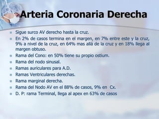 Arteria Coronaria Derecha
◼ Sigue surco AV derecho hasta la cruz.
◼ En 2% de casos termina en el margen, en 7% entre este y la cruz,
9% a nivel de la cruz, en 64% mas allá de la cruz y en 18% llega al
margen obtuso.
◼ Rama del Cono: en 50% tiene su propio ostium.
◼ Rama del nodo sinusal.
◼ Ramas auriculares para A.D.
◼ Ramas Ventriculares derechas.
◼ Rama marginal derecha.
◼ Rama del Nodo AV en el 88% de casos, 9% en Cx.
◼ D. P: rama Terminal, llega al apex en 63% de casos
 