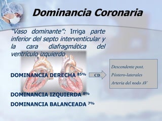 Dominancia Coronaria
“Vaso dominante”: Irriga parte
inferior del septo interventicular y
la cara diafragmática del
ventrículo izquierdo
DOMINANCIA DERECHA 85%
DOMINANCIA IZQUIERDA 8%
DOMINANCIA BALANCEADA 7%
CD
Descendente post.
Póstero-laterales
Arteria del nodo AV
 