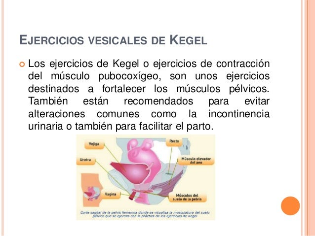 Cateterismo urinario