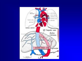   Misurazione della PVC*  Butler-O'Hara, M., et al.,  A randomized trial comparing long-term and short-term use of umbilical venous catheters in premature infants with birth weights of less than 1251 grams. Pediatrics, 2006.  118(1): p. e25-35. *  Kim, J.H., et al., Does umbilical vein catheterization lead to portal venous thrombosis? Prospective US  evaluation in 100 neonates. Radiology, 2001. 219(3): p. 645-50