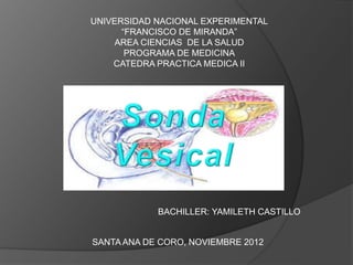 UNIVERSIDAD NACIONAL EXPERIMENTAL
“FRANCISCO DE MIRANDA”
AREA CIENCIAS DE LA SALUD
PROGRAMA DE MEDICINA
CATEDRA PRACTICA MEDICA II
BACHILLER: YAMILETH CASTILLO
SANTA ANA DE CORO, NOVIEMBRE 2012
 