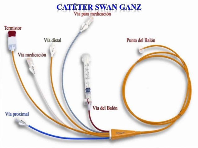 Cateter swan ganz actual