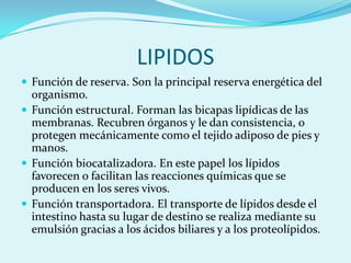 LIPIDOS
 Función de reserva. Son la principal reserva energética del
  organismo.
 Función estructural. Forman las bicapas lipídicas de las
  membranas. Recubren órganos y le dan consistencia, o
  protegen mecánicamente como el tejido adiposo de pies y
  manos.
 Función biocatalizadora. En este papel los lípidos
  favorecen o facilitan las reacciones químicas que se
  producen en los seres vivos.
 Función transportadora. El transporte de lípidos desde el
  intestino hasta su lugar de destino se realiza mediante su
  emulsión gracias a los ácidos biliares y a los proteolípidos.
 