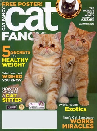 How to Choose a Cat Sitter: From the Jan. 2012 issue of Cat Fancy