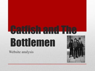 Catfish and The
Bottlemen
Website analysis
 