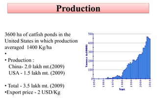 Production
3600 ha of catfish ponds in the
United States in which production
averaged 1400 Kg/ha
•
• Production :
China- 2.0 lakh mt.(2009)
USA - 1.5 lakh mt. (2009)
• Total - 3.5 lakh mt. (2009)
•Export price - 2 USD/Kg
 