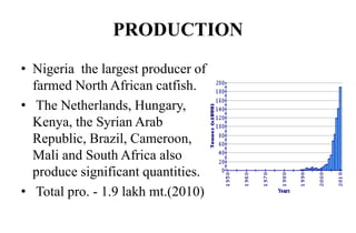 PRODUCTION
• Nigeria the largest producer of
farmed North African catfish.
• The Netherlands, Hungary,
Kenya, the Syrian Arab
Republic, Brazil, Cameroon,
Mali and South Africa also
produce significant quantities.
• Total pro. - 1.9 lakh mt.(2010)
 