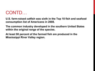 CONTD…
U.S. farm-raised catfish was sixth in the Top 10 fish and seafood
consumption list of Americans in 2008.
The common industry developed in the southern United States
within the original range of the species.
At least 90 percent of the farmed fish are produced in the
Mississippi River Valley region.
 