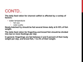 CONTD..
The daily feed ration for channel catfish is affected by a variety of
factors:
• water temperature
• fish size
• water quality
Newly-hatched fry should be fed several times daily at 6-10% of fish
weight.
The daily feed ration for fingerling and brood fish should be divided
into two or more feedings per day.
In general, fingerlings are fed between 2 and 5 percent of their body
weight per day, and brood fish, 1 to 2% of their weight.
 