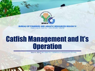 Catfish Management and It’s
Operation
March 8, 2024 MA. LISSETTE F. PERMOCILLO, Aquaculturist II, PFO-Iloilo
 