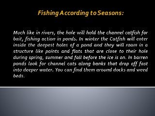 Fishing According to Seasons:
 