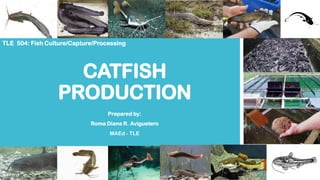 CATFISH
PRODUCTION
Prepared by:
Roma Diane R. Aviguetero
MAEd - TLE
TLE 504: Fish Culture/Capture/Processing
 