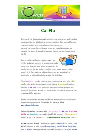 Cat Flu
Dogs rarely get flu symptoms with sneezing and runny eyes and nose like
humans do, but for cats this is a common problem. Cats can get flu even if
they have had the conventional vaccination from a vet
because low general immunity and stress are important causes, for
example the stress of going to a boarding cattery, moving house, being
old etc.
Homoeopathic cat flu nosode given every few
months and again just prior to boarding can help
prevent cat flu and is also useful as treatment for
an affected cat. As well as the nosode you can give a homoeopathic
remedy to fit the symptoms taking into account any stressors that
contributed to vulnerability to the virus in the first place.
Consider Allium cepa for copious running of nose and sore eyes, Kali
mur for thick white discharge and mouth ulcers, Arsenicum if restless
and cold or Nat mur if ‘egg white like’ discharges and unsociable and
seemingly depressed. In fact choose remedies to treat the symptoms just
as you would for a person.
Written in conjunction with Dr Clare Middle who runs a natural therapies
only veterinary practice in Bibra Lake. Ph: 08 9494 1243,
www.claremiddle.com
Website Specials for June 2015: Allium cepa 6c, Nat mur 6c, Feline
flu 30c and Headcold complexfor only $7.50, usually $15. Cold & Flu 5
remedy kit for $25, usually $35. The Animal Home Remedy Kit for $80.
Books and Info Sheet: Download and print our Animal info sheet, Cold
& Flu Factsheet or refer to our Homoeopathy for the Home Prescriber
book or eBook. We also have excellent Homoeopathy for Animals books
 