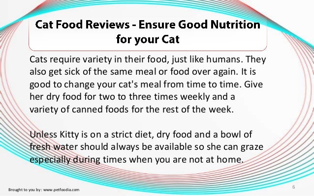 Is Canned Cat Food Better Than Dry Is Canned Cat Food Better Than Dry