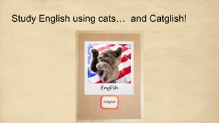 Study English using cats… and Catglish!
 