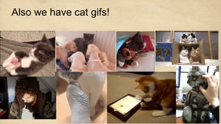 Also we have cat gifs!
 