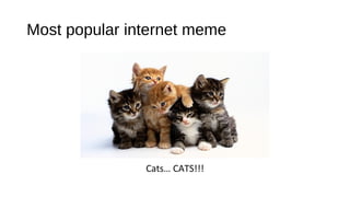 Most popular internet meme
Cats… CATS!!!
 
