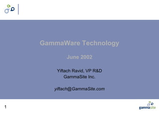 GammaWare Technology June 2002 Yiftach Ravid, VP R&D GammaSite Inc. [email_address] 