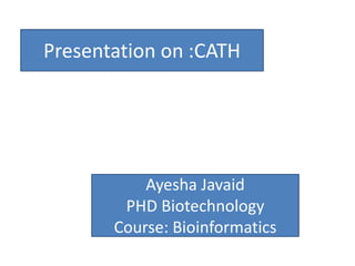Presentation on :CATH
Ayesha Javaid
PHD Biotechnology
Course: Bioinformatics
 