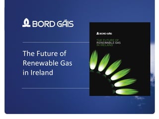 1
The Future of
Renewable Gas
in Ireland
 