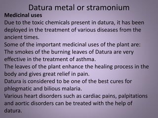 Medicinal uses
Due to the toxic chemicals present in datura, it has been
deployed in the treatment of various diseases from the
ancient times.
Some of the important medicinal uses of the plant are:
The smokes of the burning leaves of Datura are very
effective in the treatment of asthma.
The leaves of the plant enhance the healing process in the
body and gives great relief in pain.
Datura is considered to be one of the best cures for
phlegmatic and bilious malaria.
Various heart disorders such as cardiac pains, palpitations
and aortic disorders can be treated with the help of
datura.
Datura metal or stramonium
 
