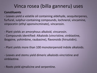 Constituents
- Leaves yield a volatile oil containing aldehyde, sesquiterpenes,
furfural, sulphur-containing compounds, lochnerol, vincamine,
vinpocetin (ethyl aponvincminate), vincarosin.
- Plant yields an amorphous alkaloid, vincarosin.
- Compounds identified: Alkaloids (vincristine, vinblastine,
ibogaine, yohimbine, raubasine), flavonoids (hirsutidin).
- Plant yields more than 100 monoterpenoid indole alkaloids.
- Leaves and stems yield dimeric alkaloids vincristine and
vinblastine.
- Roots yield ajmalicine and serpentine.
Vinca rosea (billa ganneru) uses
 