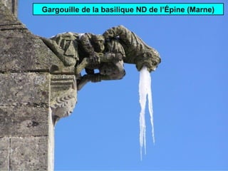 Gargouille de la basilique ND de l’Épine (Marne)
 