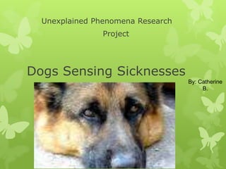 Unexplained Phenomena Research
                Project




Dogs Sensing Sicknesses
                                   By: Catherine
                                        B.
 