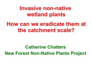 Invasive non-native  wetland plants How can we eradicate them at the catchment scale? Catherine Chatters New Forest Non-Native Plants Project 