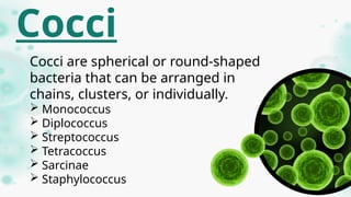 Monococcus Microscope catherine microbiology.ppwerpoint presentation | PPTX