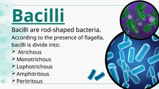 catherine microbiology.ppwerpoint presentation | PPTX