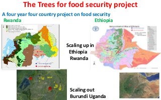 The Trees for food security project
A four year four country project on food security
Rwanda
Ethiopia

Scaling up in
Ethio...