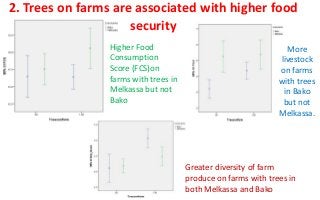 2. Trees on farms are associated with higher food
security
Higher Food
Consumption
Score (FCS)on
farms with trees in
Melka...