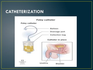 procedure of catheterization.Care of patients and monitoring. | PPTX