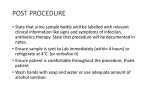 POST PROCEDURE
• State that urine sample bottle witll be labelled with relevant
clinical information like signs and symptoms of infection,
antibiotics therapy. State that procedure will be documented in
notes.
• Ensure sample is sent to Lab immediately (within 4 hours) or
refrigerate at 4°C. (or verbalise it)
• Ensure patient is comfortable throughout the procedure, thank
patient
• Wash hands with soap and water or use adequate amount of
alcohol sanitiser.
 
