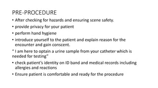 PRE-PROCEDURE
• After checking for hazards and ensuring scene safety.
• provide privacy for your patient
• perform hand hygiene
• introduce yourself to the patient and explain reason for the
encounter and gain conscent.
“ I am here to optain a urine sample from your catheter which is
needed for testing”
• check patient’s identity on ID band and medical records including
allergies and reactions
• Ensure patient is comfortable and ready for the procedure
 