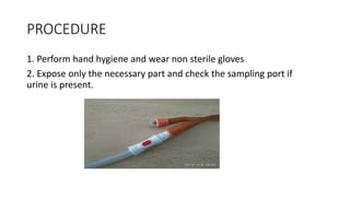 PROCEDURE
1. Perform hand hygiene and wear non sterile gloves
2. Expose only the necessary part and check the sampling port if
urine is present.
 