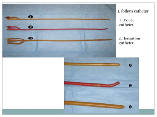 Catheterisation | PPTX